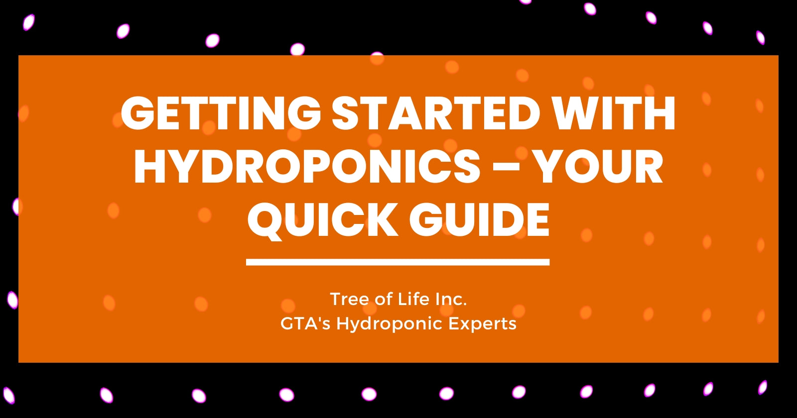 Getting Started with Hydroponics – Your Quick Guide – Tree of Life Inc.