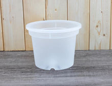 Load image into Gallery viewer, Round Clear Plastic Pots - Various Sizes