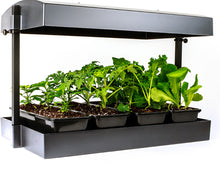 Load image into Gallery viewer, Sunblaster T5 Grow Light Garden - Black