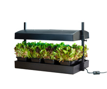 Load image into Gallery viewer, Sunblaster T5 Grow Light Garden - Black