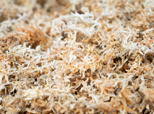 Load image into Gallery viewer, One Mile AAA Grade Sphagnum Moss - 150gr