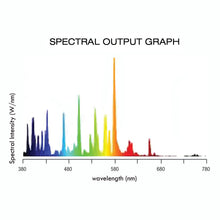 Load image into Gallery viewer, Lightspeed SE MH 1000W 6000K Bulb