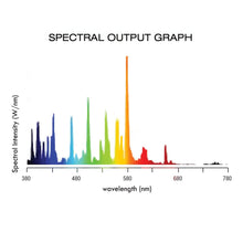 Load image into Gallery viewer, Lightspeed DE MH 1000W 6000K Bulb