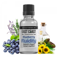 Load image into Gallery viewer, Blueberry Fluidity Extract Diluent Liquidizer 1ml
