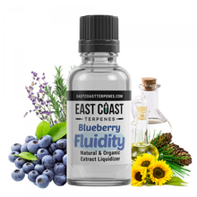 Load image into Gallery viewer, Blueberry Fluidity Extract Diluent Liquidizer 1ml