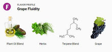 Load image into Gallery viewer, Grape Fluidity Extract Diluent Liquidizer 1ml