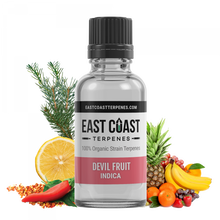 Load image into Gallery viewer, Devil Fruit Terpene Liquidizer 1ml