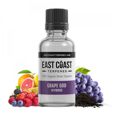 Load image into Gallery viewer, Grape God Terpene Liquidizer 1ml