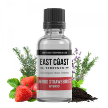 Load image into Gallery viewer, Hybrid Strawberries Liquidizer 1ml