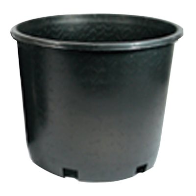2 litre plastic plant pots 2 Gallon Plastic Nursery Pot – Tree of Life Inc