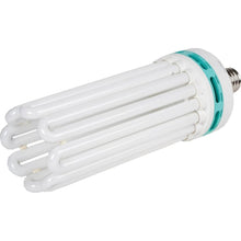 Load image into Gallery viewer, 200W Sunblaster CFL - 2700K