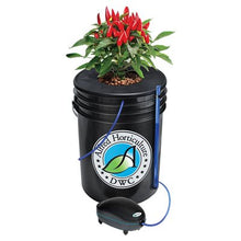 Load image into Gallery viewer, Alfred DWC 1-Plant System