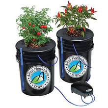 Load image into Gallery viewer, Alfred DWC 2-Plant System