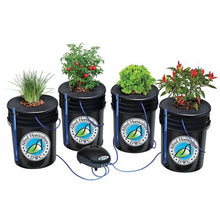 Load image into Gallery viewer, Alfred DWC 4-Plant System