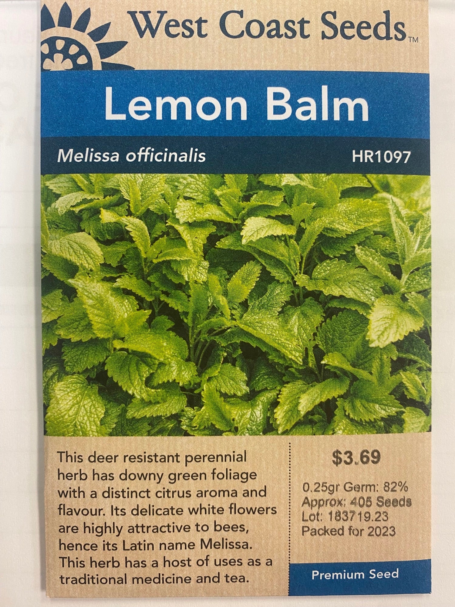 Lemon Balm - Melissa Officinalis 0.25gr – Tree of Life Inc.