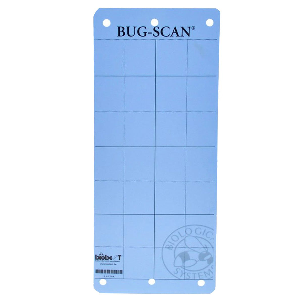 Bug Scan Sticky Blue Trap (Thrip / Leafminer) 10/pk