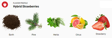 Load image into Gallery viewer, Hybrid Strawberries Liquidizer 1ml