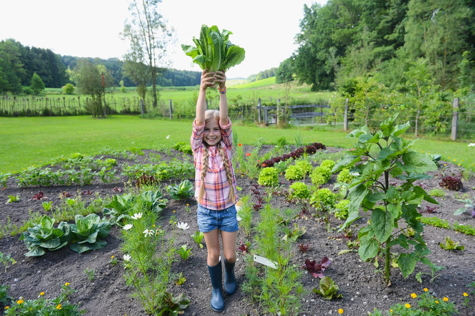 Benefits of Home Gardening