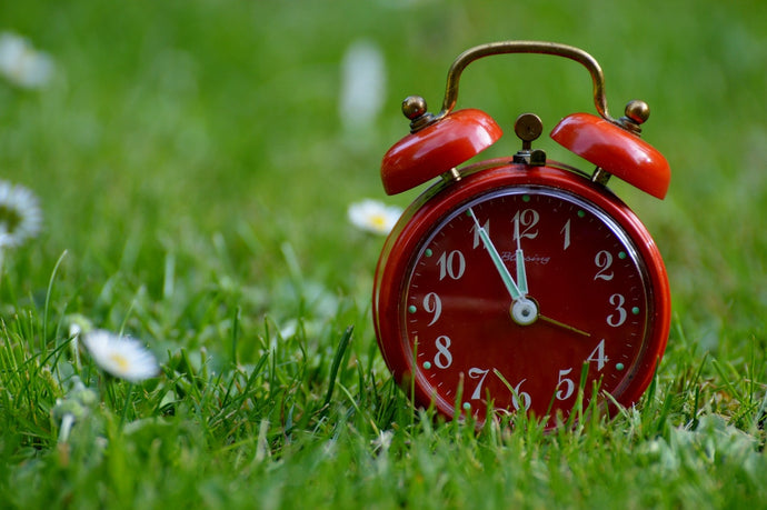 How Long Does It Take to Grow Weed Hydroponically?
