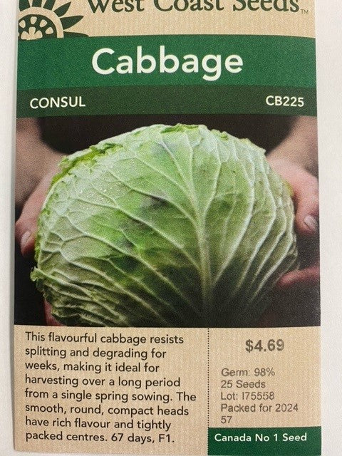 Cabbage - Consul 25 Seeds – Tree of Life Inc.