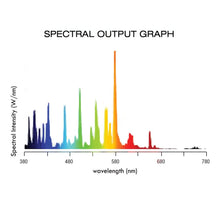 Load image into Gallery viewer, Lightspeed DE MH 1000W 6000K Bulb
